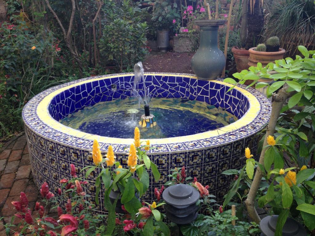 לינה וארוחת בוקר Tlaquepaque Casa De Las Flores מראה חיצוני תמונה