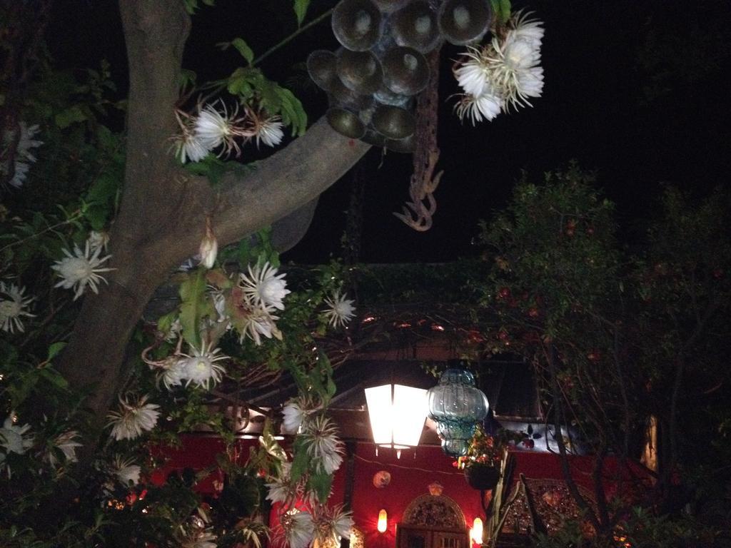 לינה וארוחת בוקר Tlaquepaque Casa De Las Flores מראה חיצוני תמונה