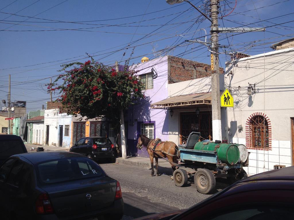 לינה וארוחת בוקר Tlaquepaque Casa De Las Flores מראה חיצוני תמונה