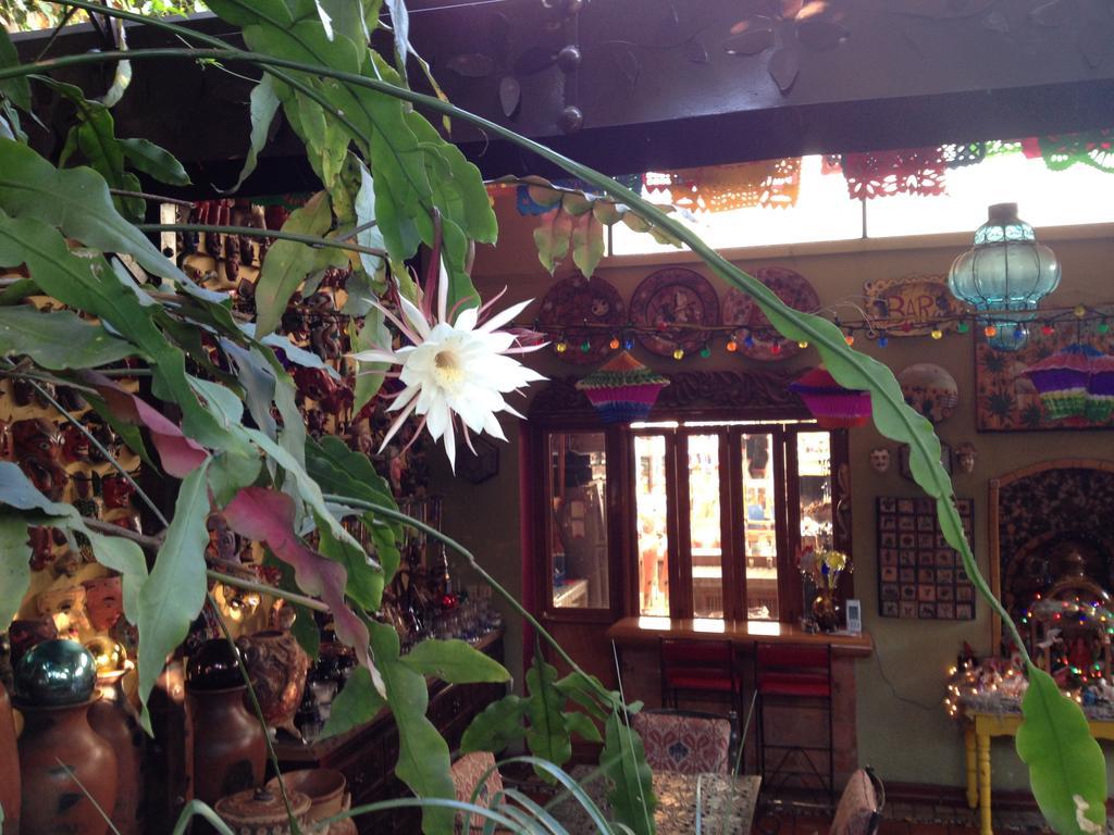 לינה וארוחת בוקר Tlaquepaque Casa De Las Flores מראה חיצוני תמונה