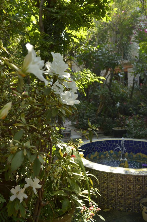 לינה וארוחת בוקר Tlaquepaque Casa De Las Flores מראה חיצוני תמונה