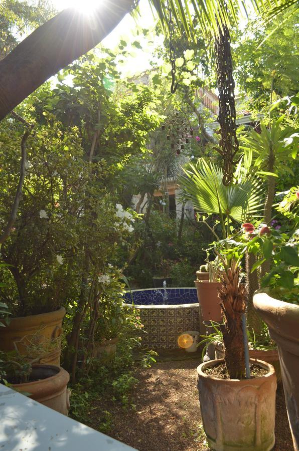לינה וארוחת בוקר Tlaquepaque Casa De Las Flores מראה חיצוני תמונה