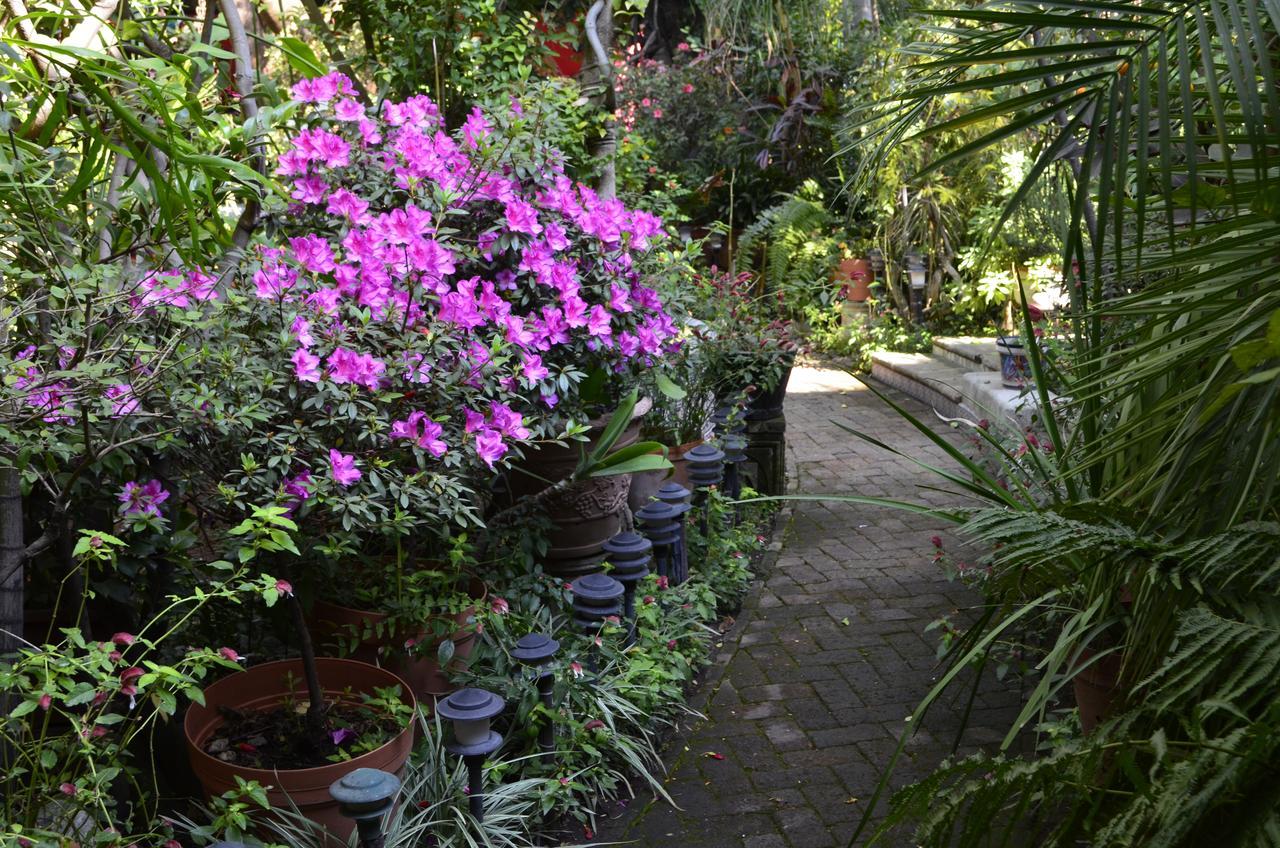 לינה וארוחת בוקר Tlaquepaque Casa De Las Flores מראה חיצוני תמונה